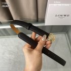 Loewe Belts 63