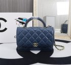 Chanel High Quality Handbags 1176