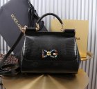 Dolce & Gabbana High Quality Handbags 348