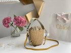 Chloe Original Quality Handbags 124