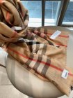 Burberry Scarves 315