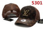 Louis Vuitton Normal Quality Hats 74