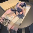 Burberry Scarves 232
