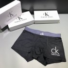 Calvin Klein Men's Underwear 244