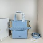 Coach High Quality Handbags 978