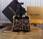 Dolce & Gabbana Original Quality Handbags 475
