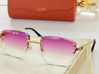 Cartier High Quality Sunglasses 1163