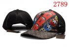 Louis Vuitton Normal Quality Hats 07