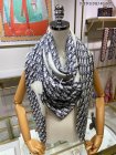 DIOR Scarves 78