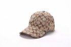 Coach Hats 04