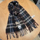 Burberry Scarves 85