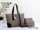 Coach Normal Quality Handbags 51