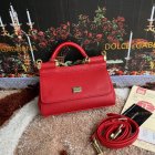 Dolce & Gabbana High Quality Handbags 194