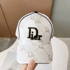 DIOR Hats 115