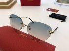 Cartier High Quality Sunglasses 407