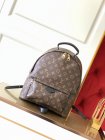 Louis Vuitton Backpack 09