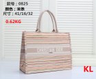 DIOR Normal Quality Handbags 168