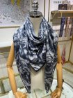 DIOR Scarves 113