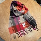 Burberry Scarves 84