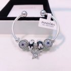 Pandora Jewelry 19