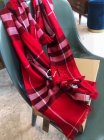 Burberry Scarves 285