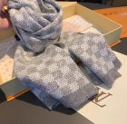 Louis Vuitton Scarves 43