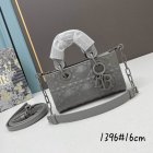 DIOR High Quality Handbags 381