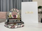 DIOR High Quality Handbags 10