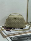 DIOR High Quality Handbags 31