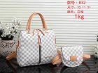 Louis Vuitton Normal Quality Handbags 1070