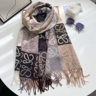 Loewe Scarves 100