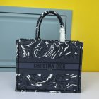 DIOR High Quality Handbags 116