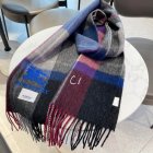 Burberry Scarves 144