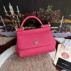 Dolce & Gabbana High Quality Handbags 218