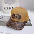 Louis Vuitton High Quality Hats 344