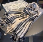 DIOR Scarves 26