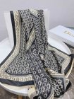 DIOR Scarves 203