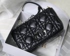 DIOR Original Quality Handbags 548