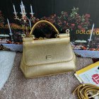 Dolce & Gabbana High Quality Handbags 213