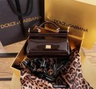 Dolce & Gabbana High Quality Handbags 520