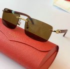 Cartier High Quality Sunglasses 1034