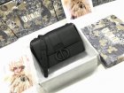 DIOR High Quality Handbags 610