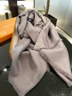 Louis Vuitton Scarves 207