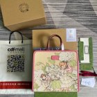 Gucci Original Quality Handbags 221