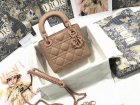 DIOR Original Quality Handbags 778