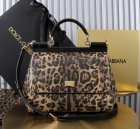 Dolce & Gabbana High Quality Handbags 345
