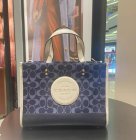 Coach High Quality Handbags 356