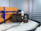 Louis Vuitton High Quality Handbags 495