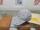 Louis Vuitton High Quality Hats 267