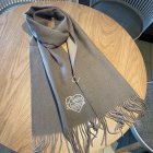 Louis Vuitton Scarves 12